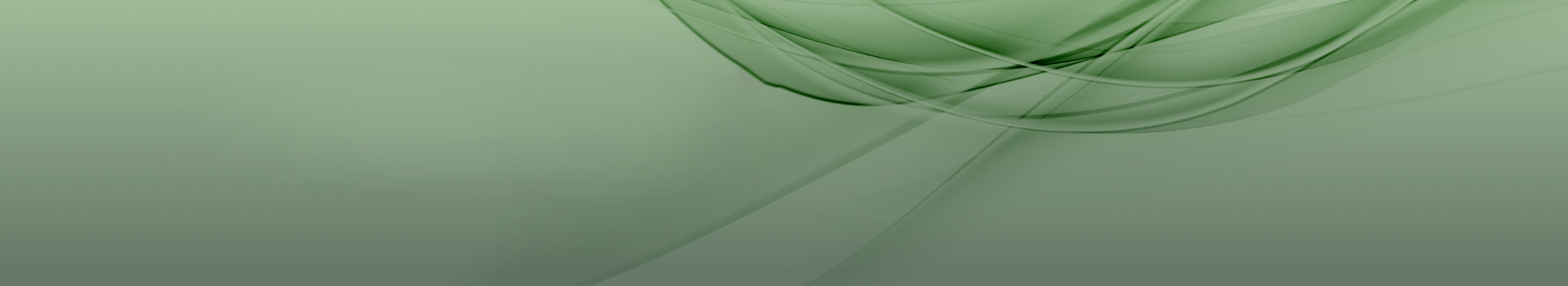 Green header image, symbolizing professionalism and continuing education at Management School St. Gallen.