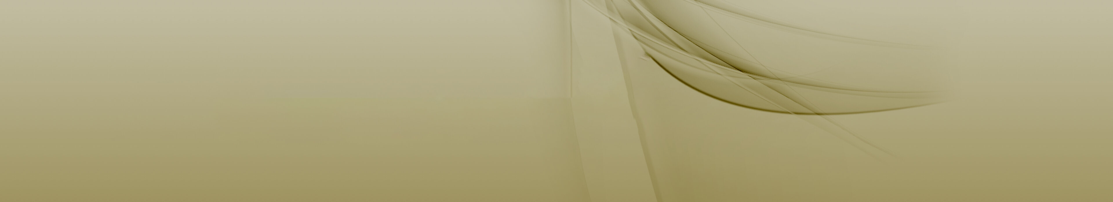 Green-yellow image, symbolizing professionalism and continuing education at Management School St. Gallen.