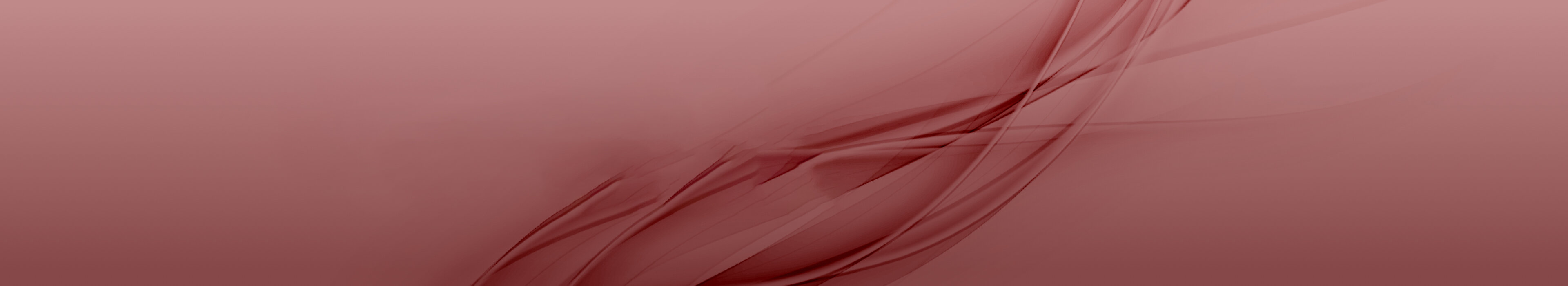 Red header image, symbolizing professionalism and continuing education at Management School St. Gallen.