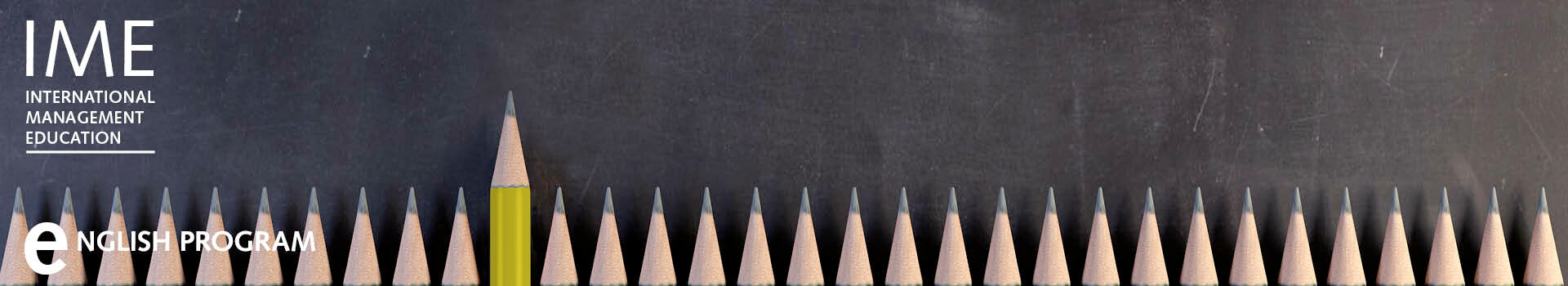 Header image of the in-house Leadership Development Program «St.Gallen Management & Leadership Program | English» of the Management School St.Gallen.