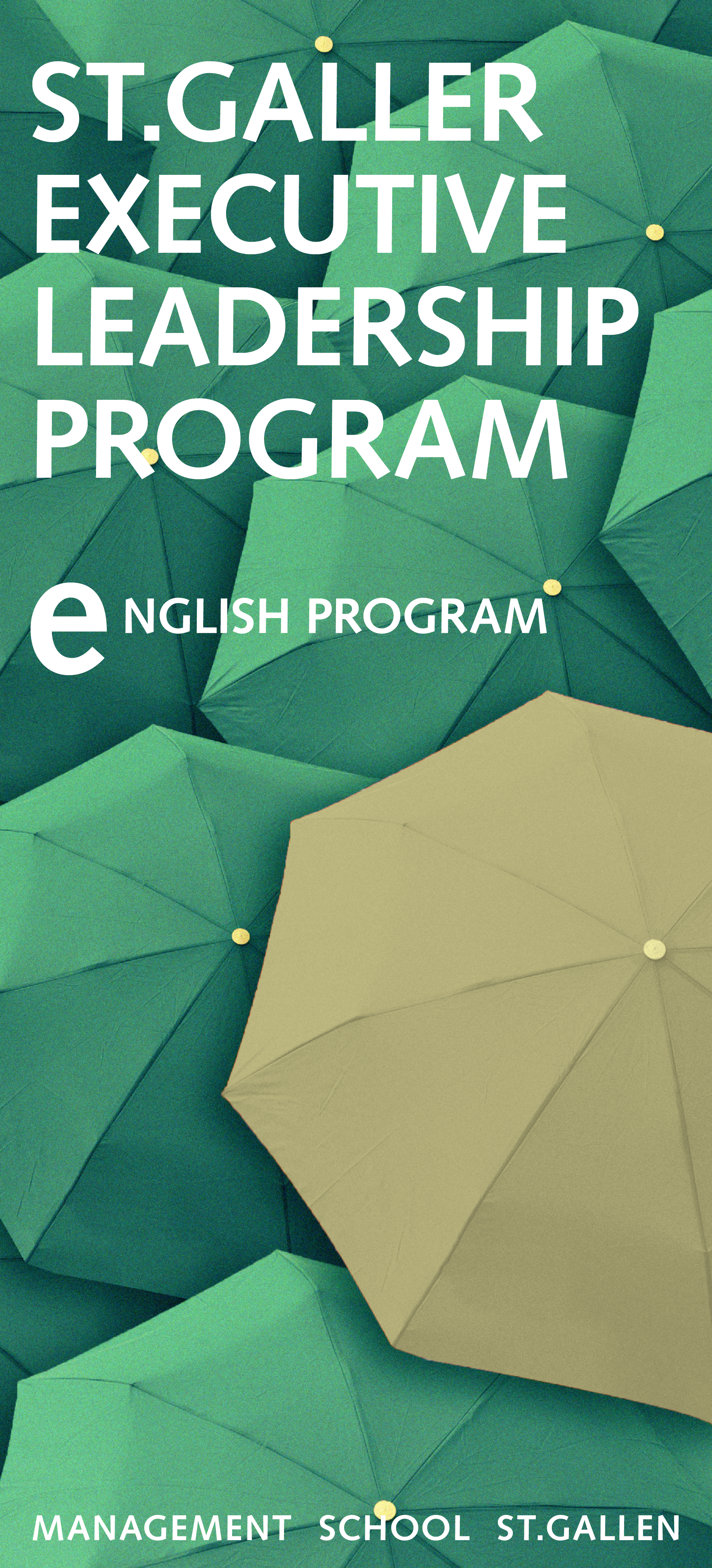 MSSG_Executive_Leadership_Program_English